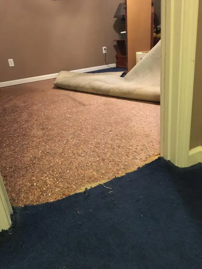 Carpet pad removal revealing water damage during Drying & Dehumidification in Lanham