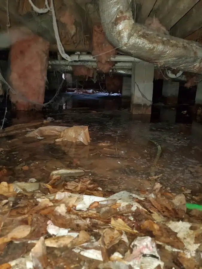 Crawl space flood assessment for Commercial Water Damage Restoration in Lanham
